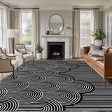 Rullikatlyi Area Rugs for Living Room Black White Abstract Curves Washable Soft Modern Geometric Lines Rug Bedroom Non-Slip Large Carpet Dining Office