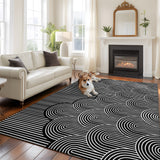 Rullikatlyi Area Rugs for Living Room Black White Abstract Curves Washable Soft Modern Geometric Lines Rug Bedroom Non-Slip Large Carpet Dining Office