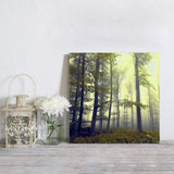 Mystical Fog Fall Nature and Magic Wood Wild Trees Red Fallen Leaves Canvas painting - LeobonZone