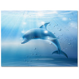 Blue dolphin Right Angle Felt Rugs - LeobonZone